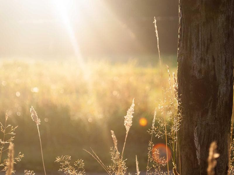 Consultorio Odontológico - Dra. Verónica Diaz