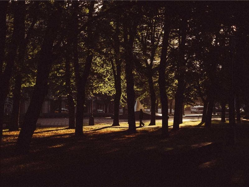 Ortobom Lambare