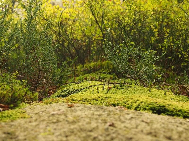 Natura Spa