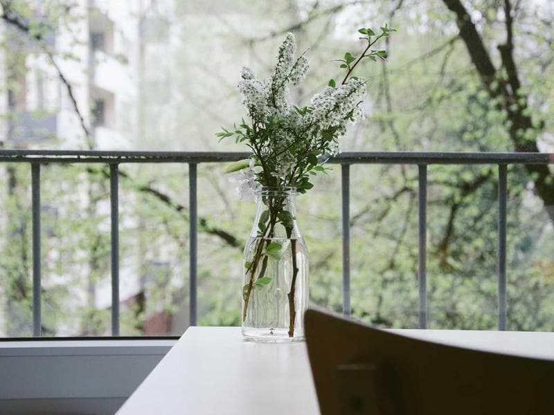 YZ Home of Wellness